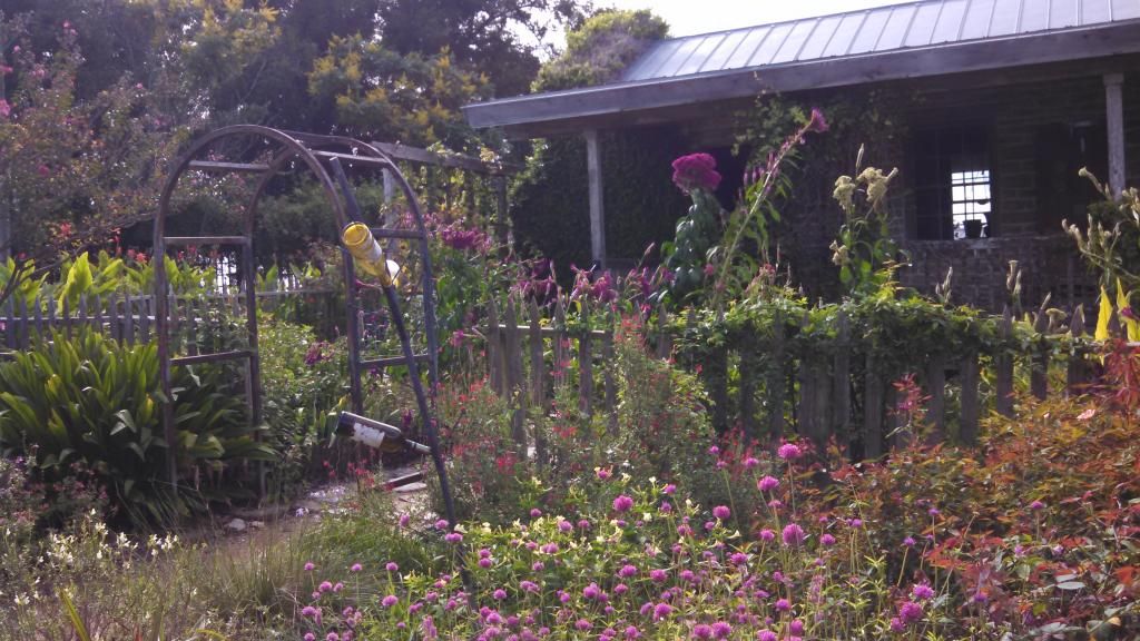  photo IMG_20140924_100858_992.jpg